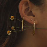 Ernest Hoops