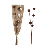 Dried Natural Thistle Bunch