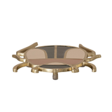 Enameled Cast Aluminum Beetle Shaped Trivet
