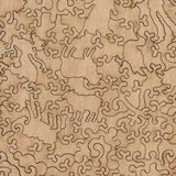 Antiphonal Singing Puzzle