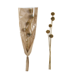 Dried Natural Thistle Bunch