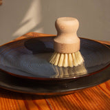 Dish Brush White Teakwood