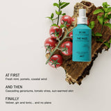 The Haze | Deodorizing Body Mist