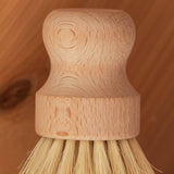 Dish Brush White Teakwood