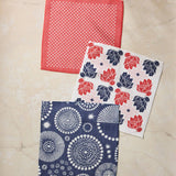 Talon Dishcloth Set