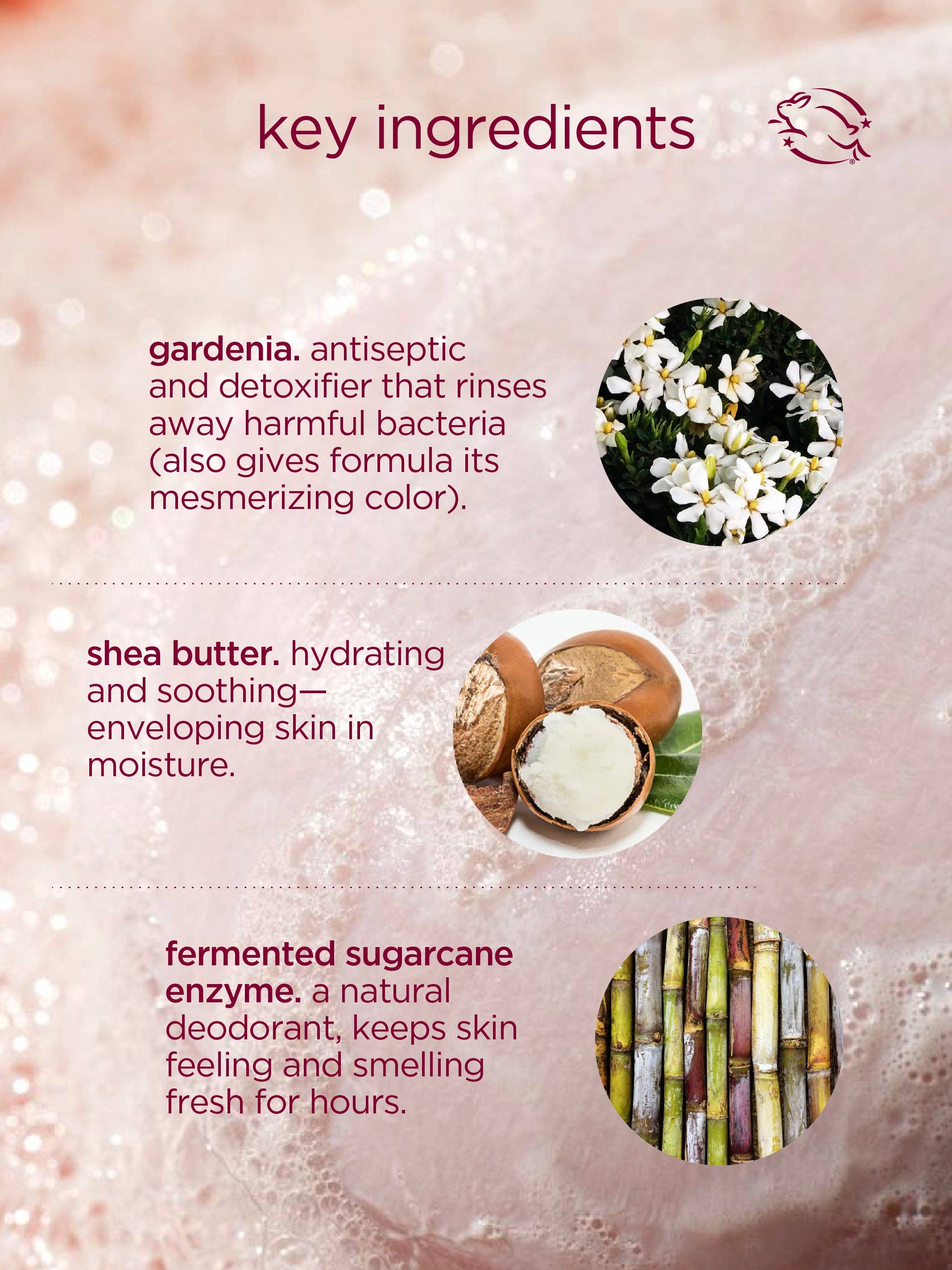Cocoon Cleanse Solid Serum Cleanser