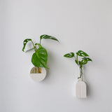 Minimal Round Ribbed Wall Propagation Vase
