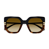 New West Sunglasses