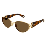 Combi Sunglasses - Havana