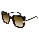 New West Sunglasses