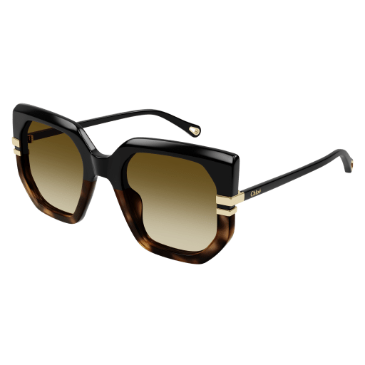New West Sunglasses