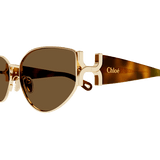 Combi Sunglasses - Havana
