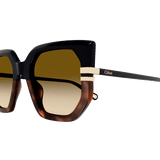 New West Sunglasses
