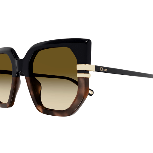 New West Sunglasses