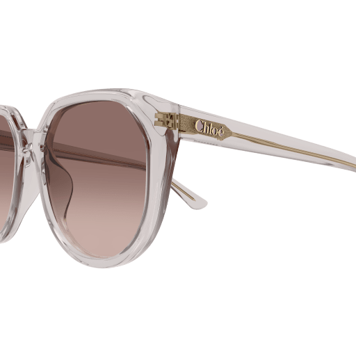Geometric Acetate Sunglasses