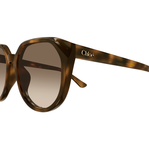 Geometric Sunglasses - Havana