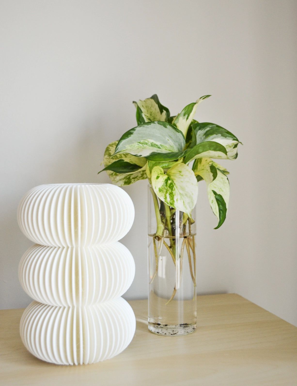 Minimal Bubble Fluted Vase