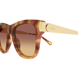 Oversized Wayfarer