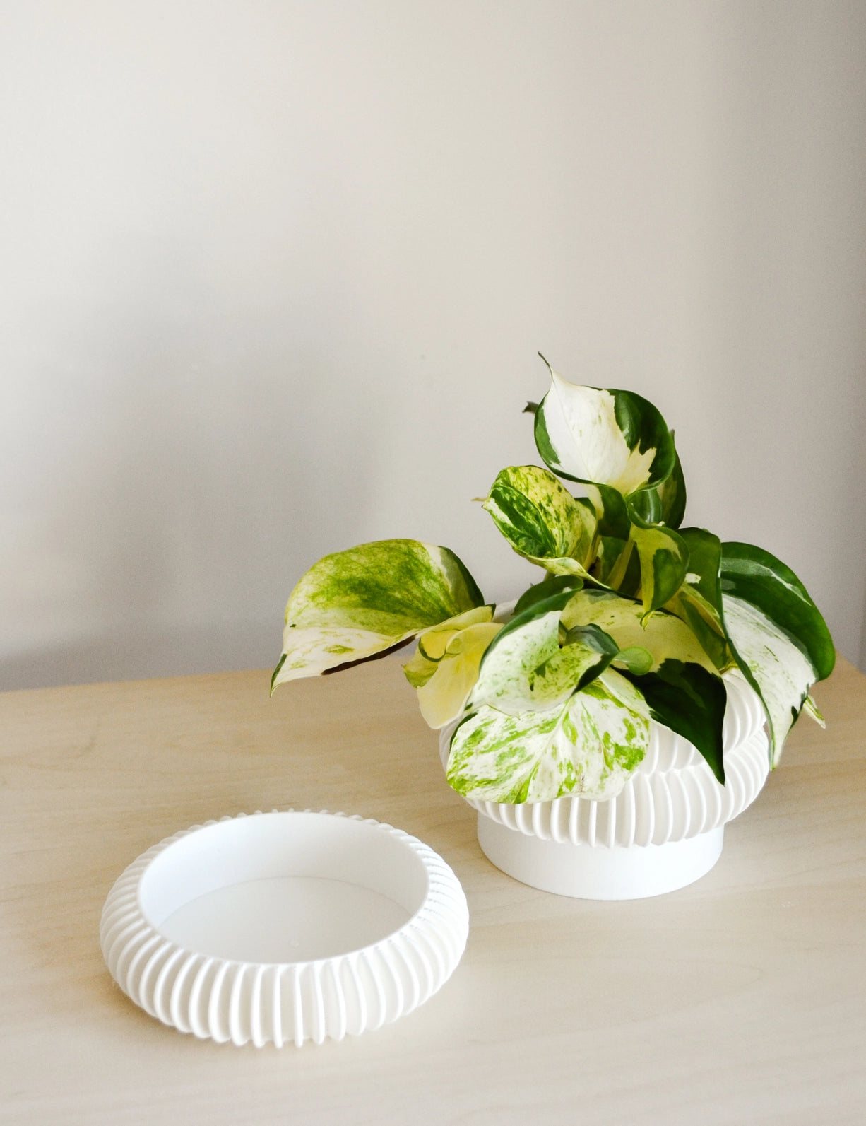 Stacking Bubble Textured Planter with Drainage Tray