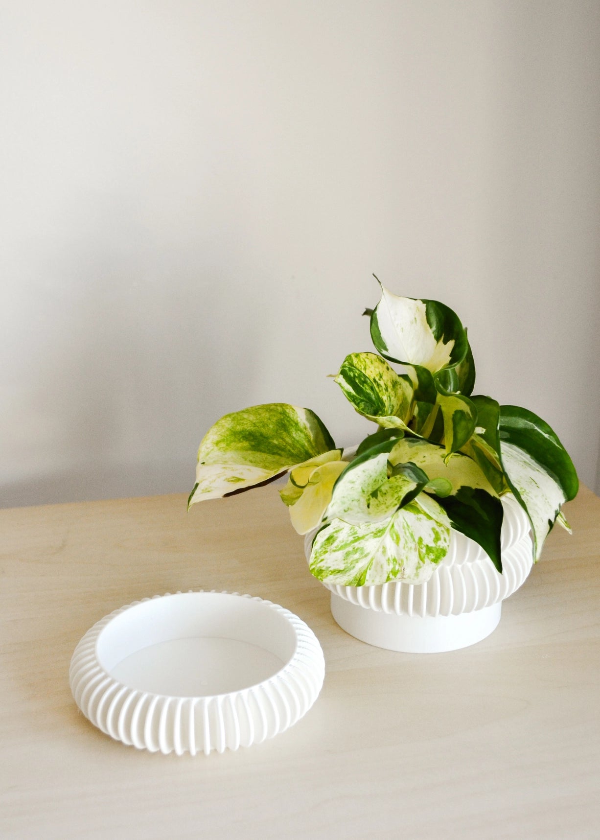 Stacking Bubble Textured Planter with Drainage Tray