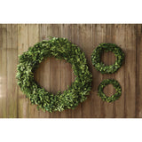 Preserved Boxwood Wreath - Small