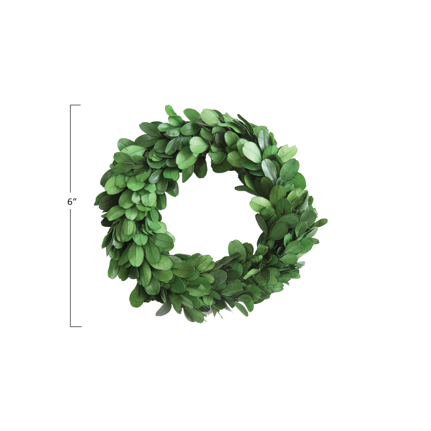 Preserved Boxwood Wreath - Small