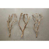 Decorative Tea Tree Branch