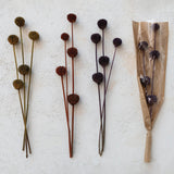 Dried Natural Thistle Bunch