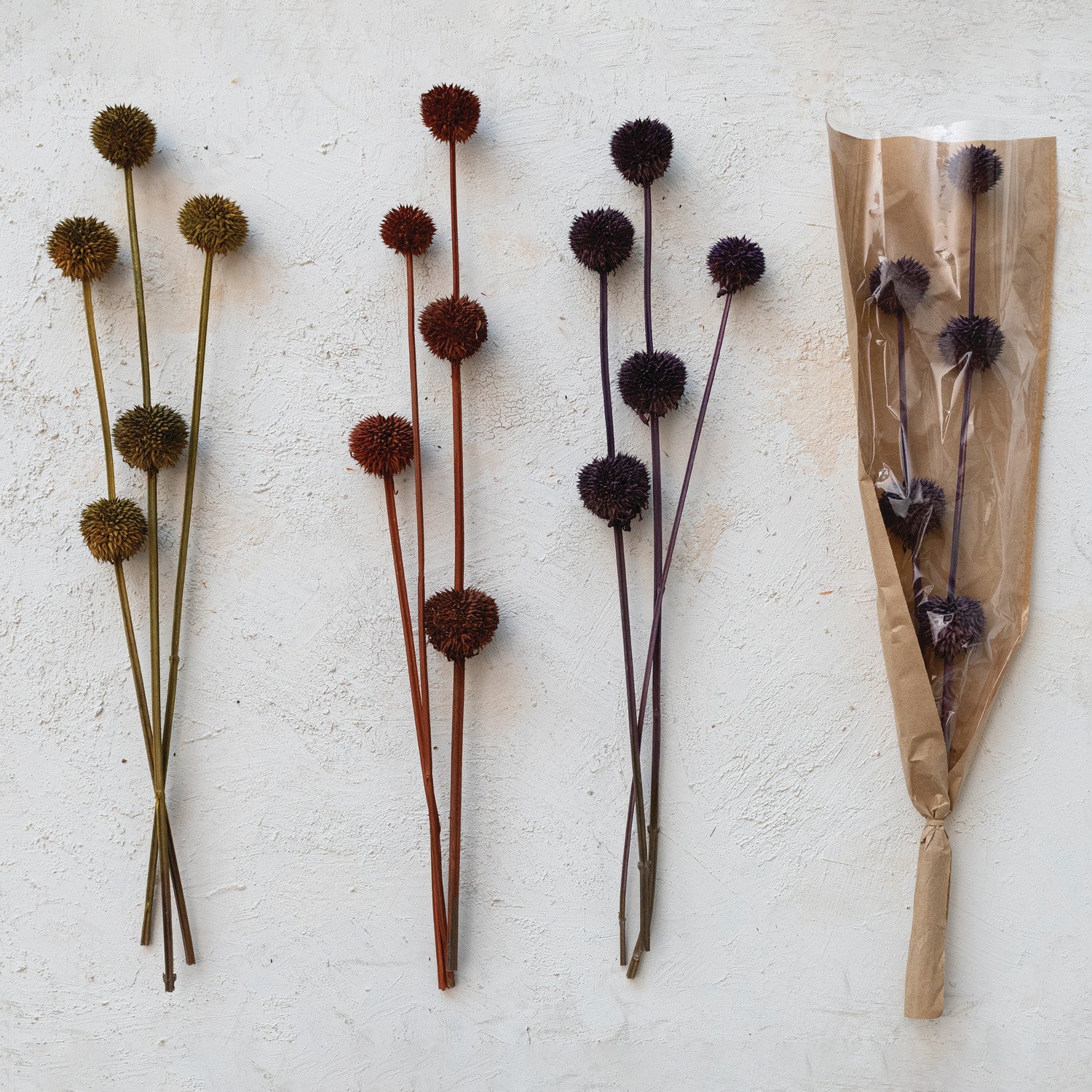 Dried Natural Thistle Bunch