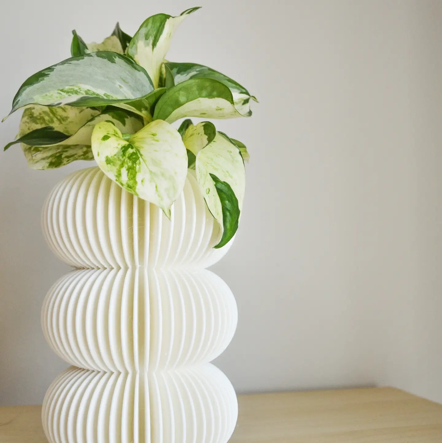 Minimal Bubble Fluted Vase