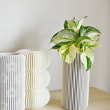 Minimal Flute Vase