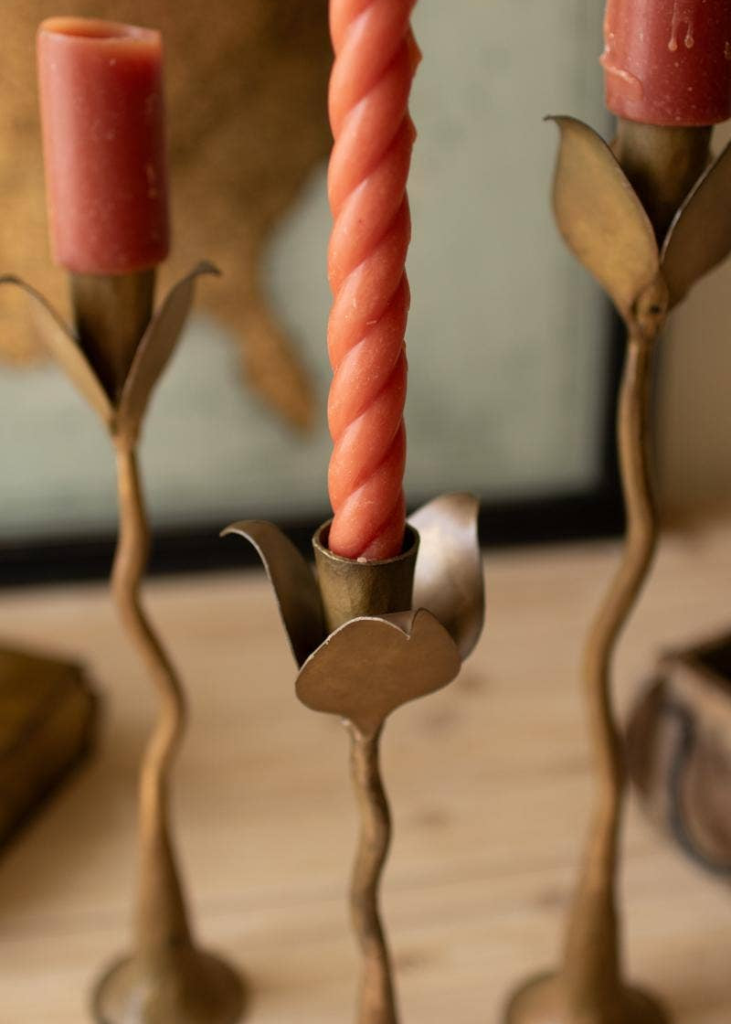 Tulip Taper Candle Holders