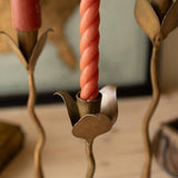Tulip Taper Candle Holders