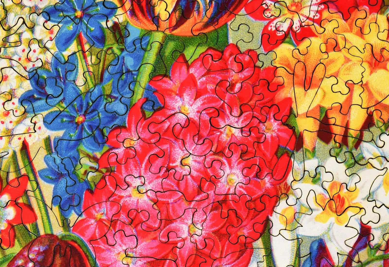 Mayflower Premium Bulbs Puzzle